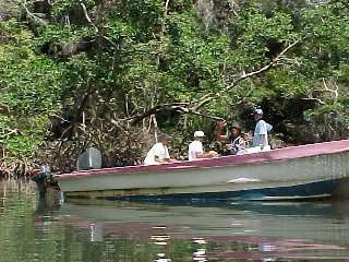 Los Haitises