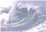 TSUNAMI TSUNAMI